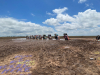 Cadillac Ranch - Amarillo, Texas